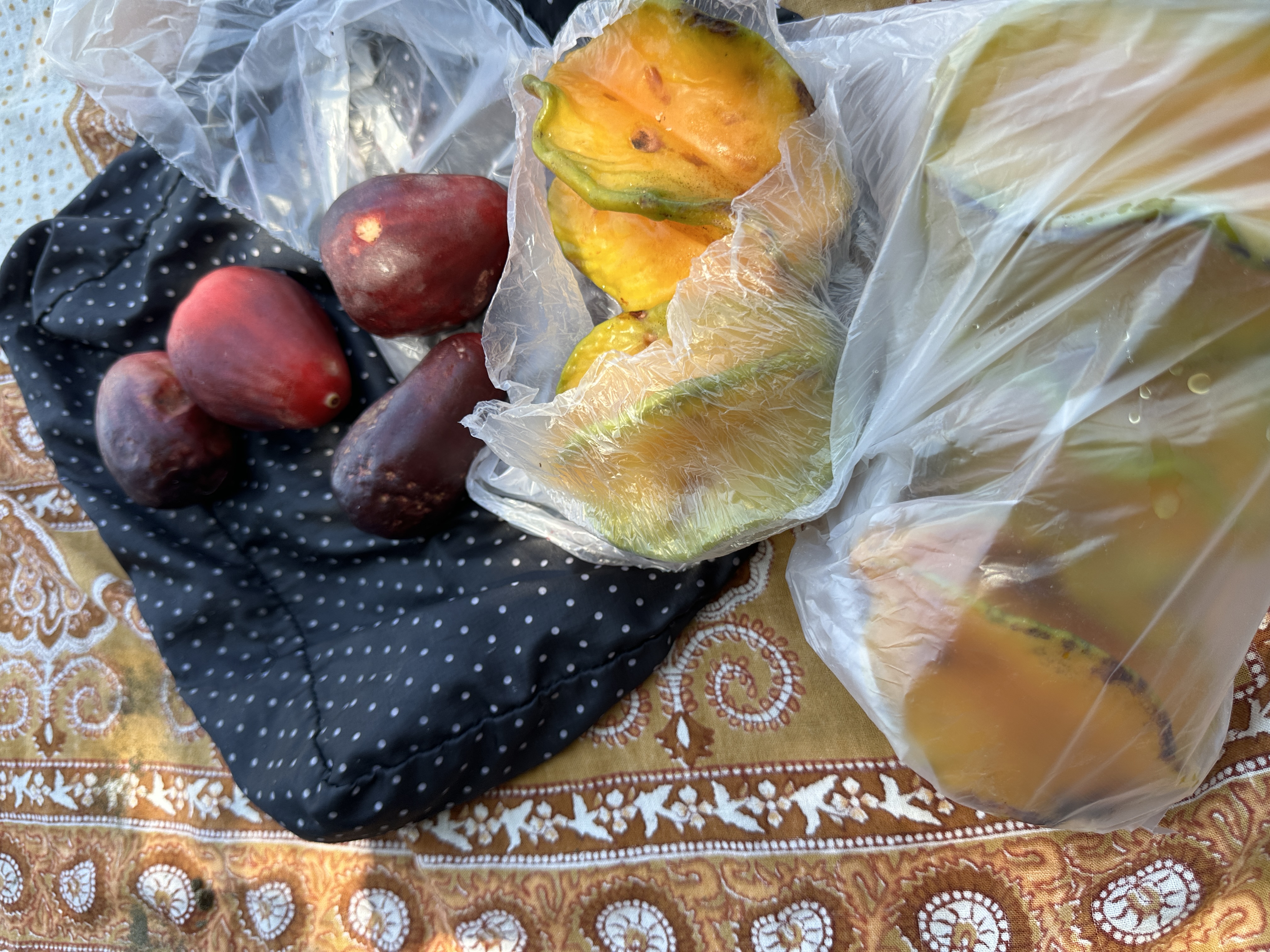 image of star fruit and water apple